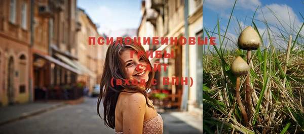 синтетический гашиш Балахна