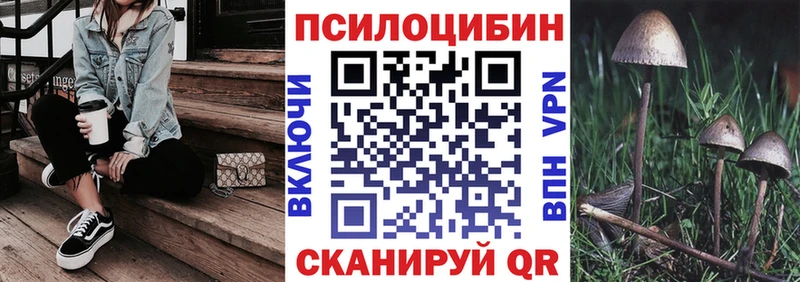 Купить закладки  Новая Ладога  Псилоцибиновые грибы GOLDEN TEACHER 